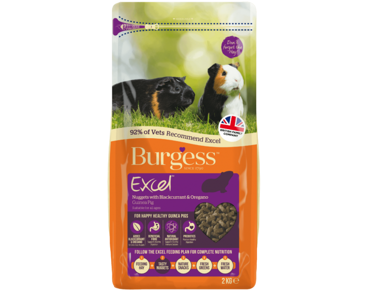 Burgess - Guinea Pig Nuggets with Blackcurrant & Oregano - 10 kg (40018)