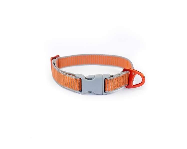 Siccaro - Sealines Dog Collar Mixed S - (S6011)