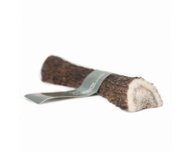 Taki - Deer Antler split L  15cm - (01-602)