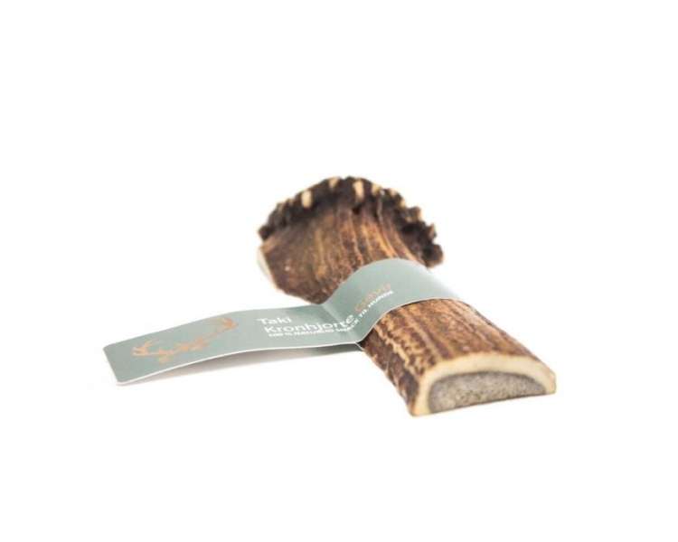 Taki - Deer Antler split M  12cm - (01-601)