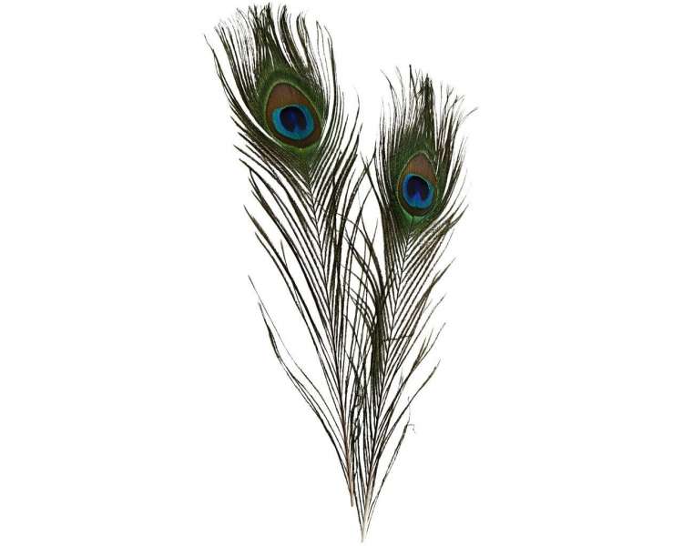 DIY Kit - Peacock feathers 10pc (51810)