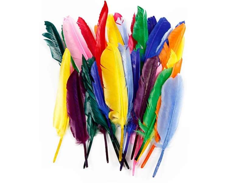 Kit De Bricolaje, Plumas 17-20 Cm (250 Unidades) (51675)