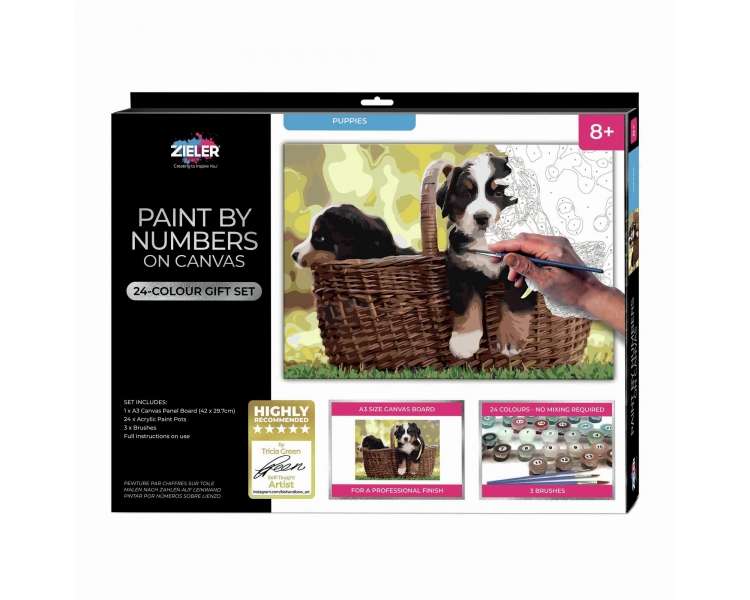 Zieler - Paint By Numbers - Dogs (609299437)