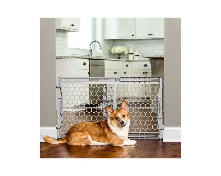 CARLSON -  Gate Plastic Expandable Gate 58x71-107CM - (704.2000)