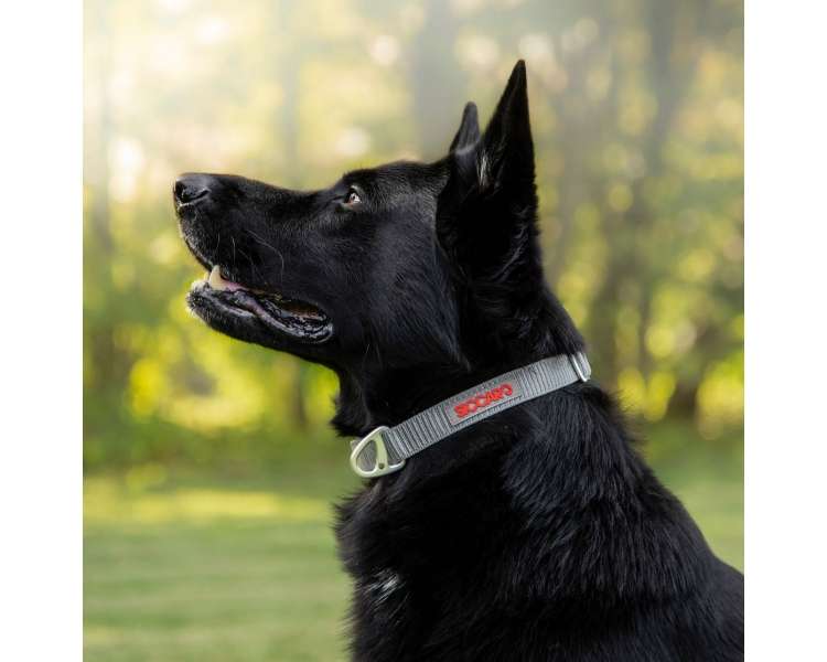 Siccaro - Sealines Dog Collar Silver M - (S6011)