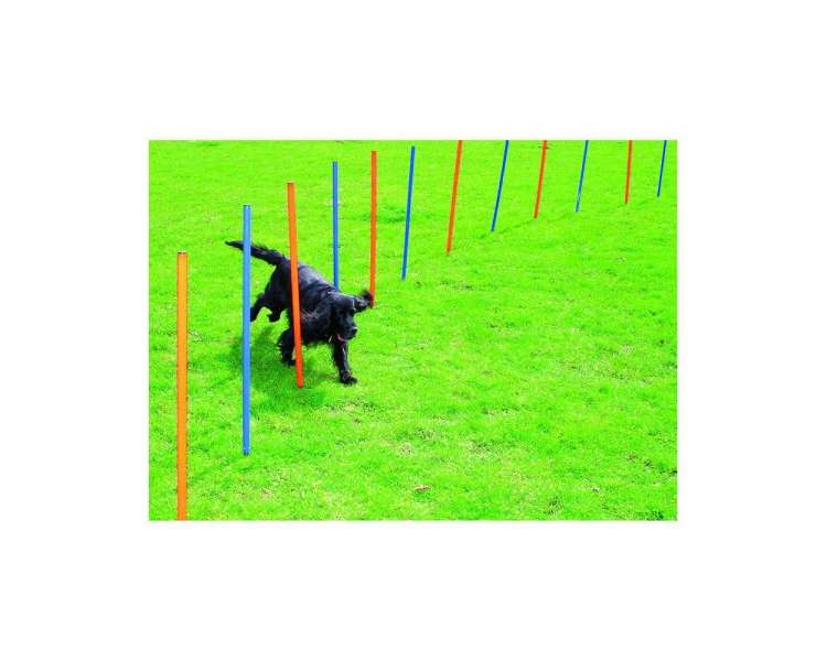 Pawise - Agility 12pcs Poles - (636.9000)