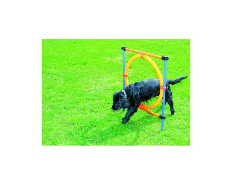 Pawise - Agility Ring Ø55Cm - (636.9004)