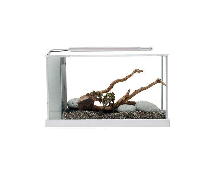 FLUVAL - Spec V Led 19L White 52X19X29.5Cm - (106.8218)