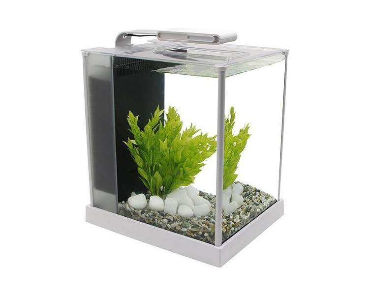 FLUVAL - Spec III Led 10L White 27.5X22.3X30Cm - (106.8217)