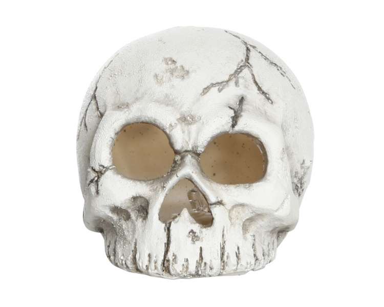 DGA - Skull with LED (10595195)