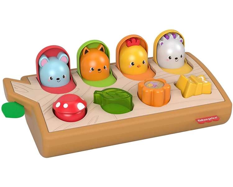 Fisher-Price - Hide & Peek Pop-Up (GJW24)