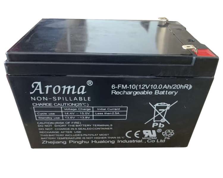 Battery for Electric Cars - 12V/10A (69502114)