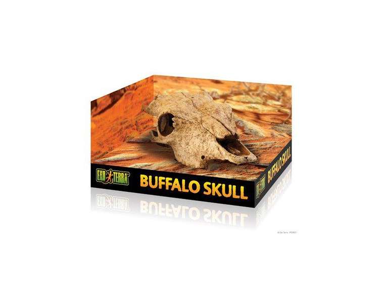 EXOTERRA - Cave Buffalo Skull  - (222.2057)