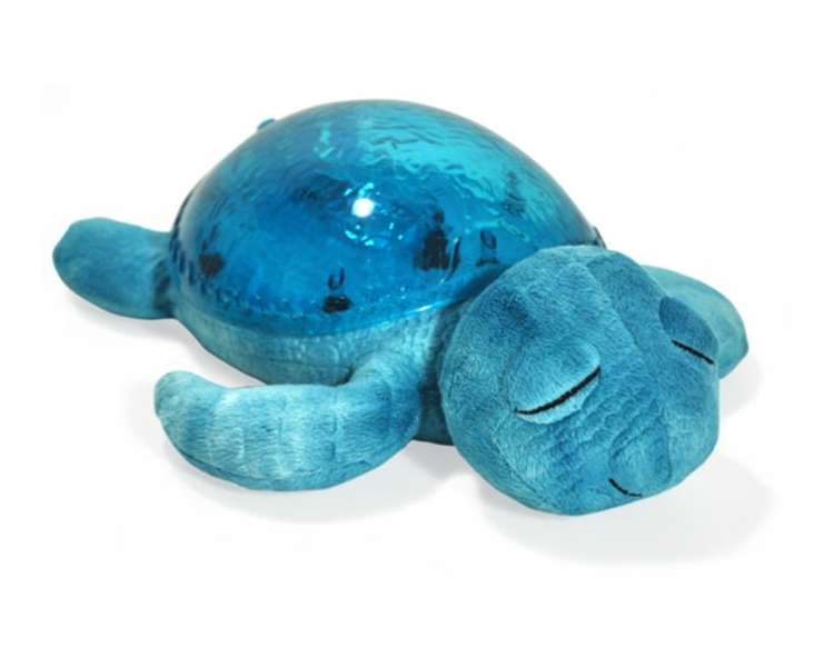 Cloud B - Tranquil Turtle Aqua (CB7423-aq)