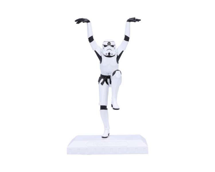 Stormtrooper Crane Kick