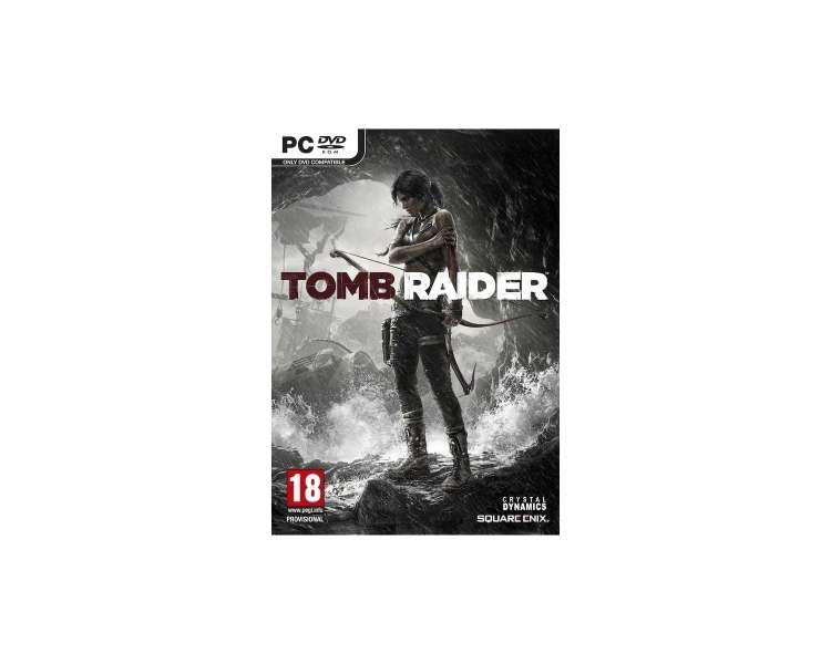 Tomb Raider, Juego para PC