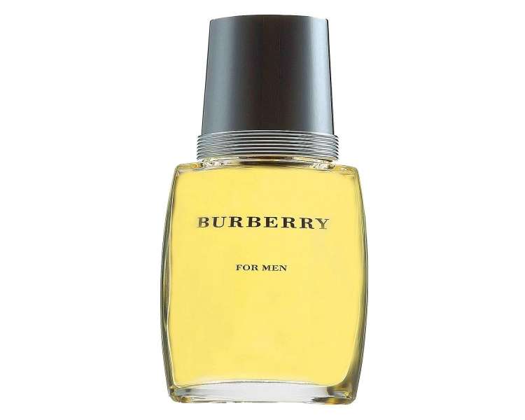 Burberry classic for man best sale edt 100ml