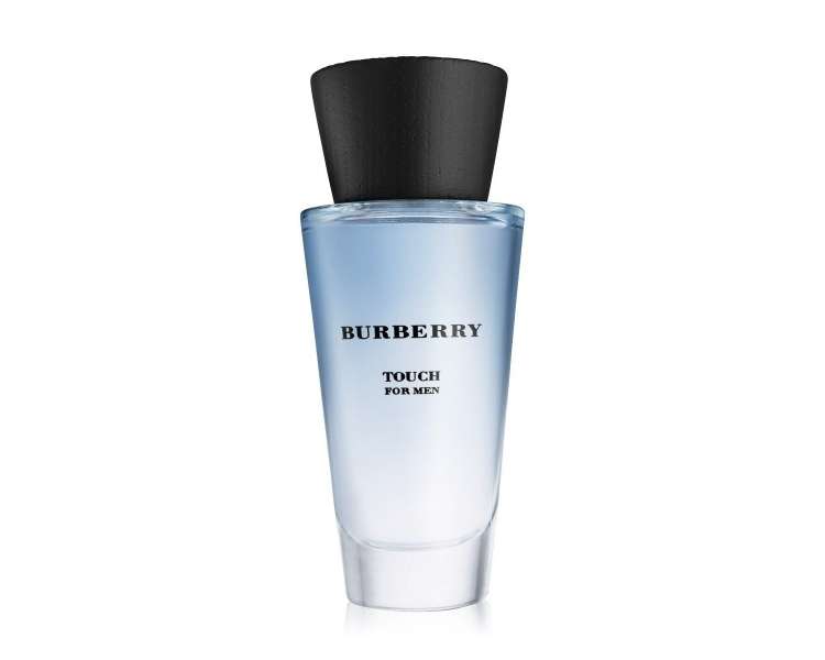 Burberry touch hotsell edt 100ml