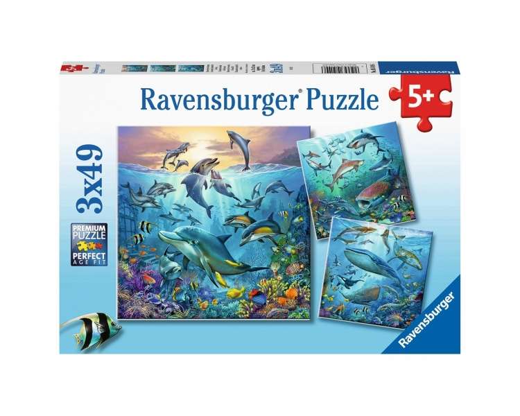 Ravensburger - Ocean Life 3x49p - 05149