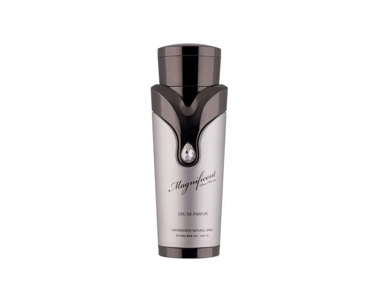 Armaf Magnificent Eau de Parfum Spray For Men 100ml