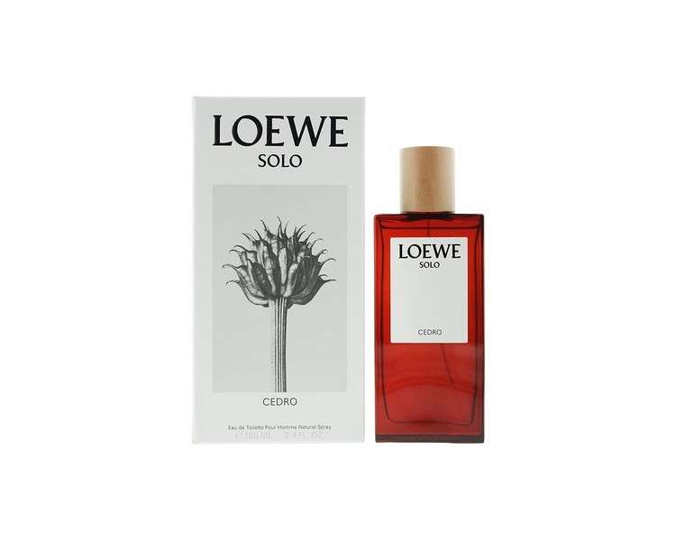 Loewe Men's Solo Cedro Eau De Toilette Spray 100ml