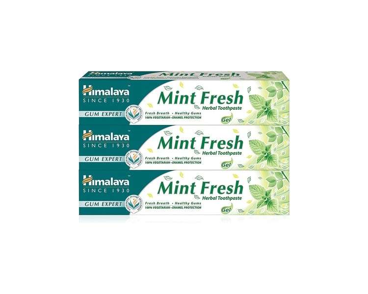 Himalaya Herbals Mint Fresh Gum Expert Toothpaste 75ml