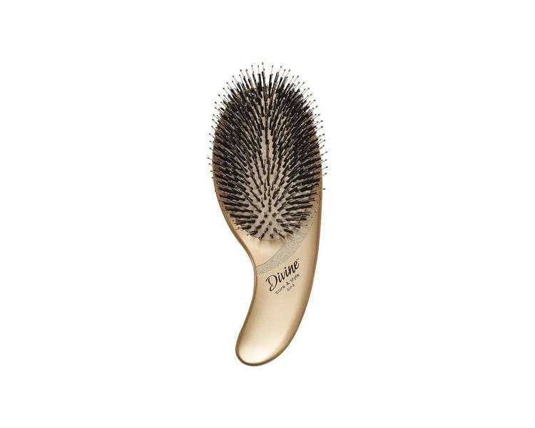 Olivia Garden Divine Care & Style Hair Brush - Paddle with 100% Boar & Nylon Bristles for Daily Care on All Hair Types