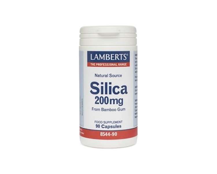 Lamberts Silica 200mg 90 Capsules