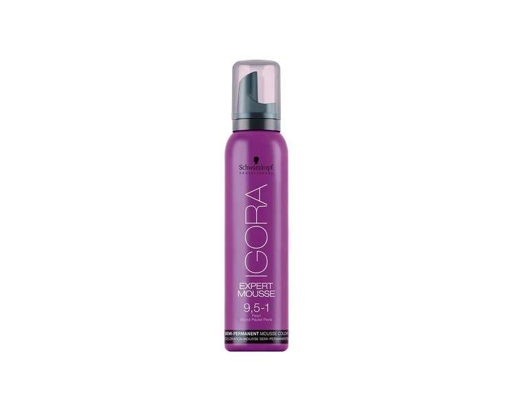 Schwarzkopf Igora Expert Mousse Semi-Permanent Colour Number 9.5-1