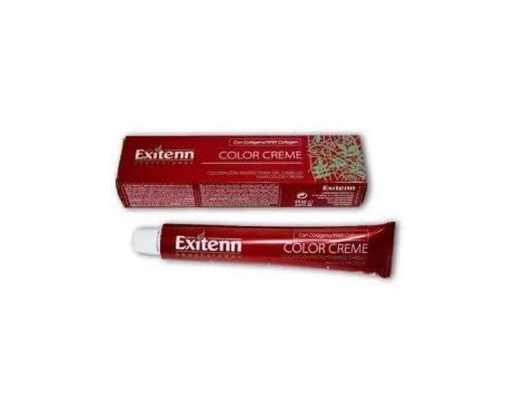 Exitenn Color Cream 60ml Color 1107 Nordic Pistachio