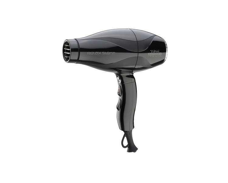 GAMMAPIU Professional Hair Dryer Relax Silent Lightweight Powerful Eco-Friendly 3 Speeds Silver Coated Grill W 1800-2101 Italian Plug Black