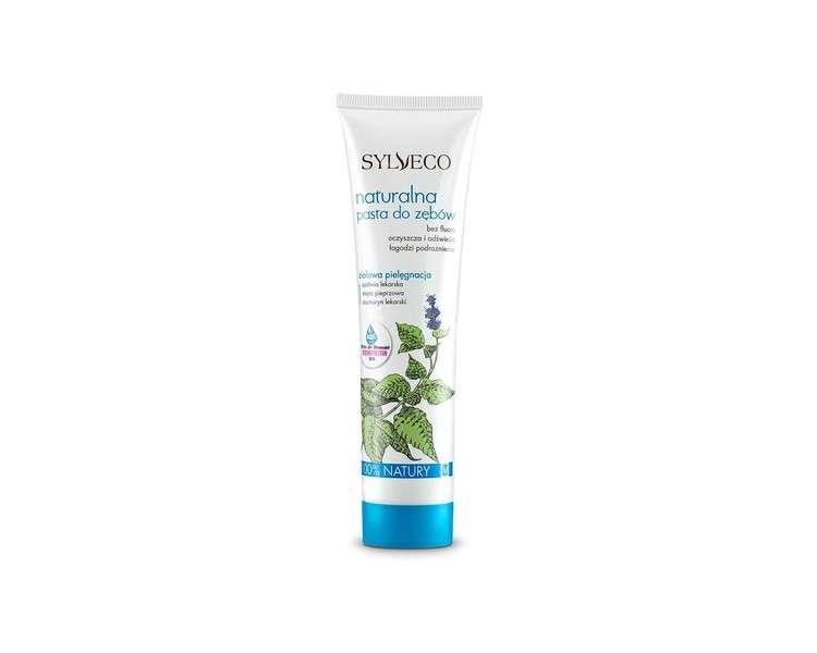 Sylveco Natural Toothpaste Zahnpasta 100ml