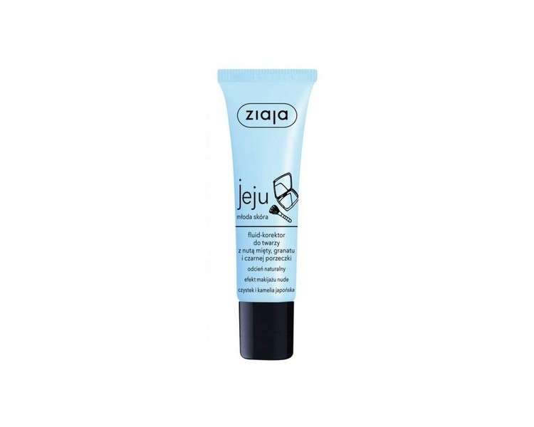 Ziaja JEJU Face Corrector