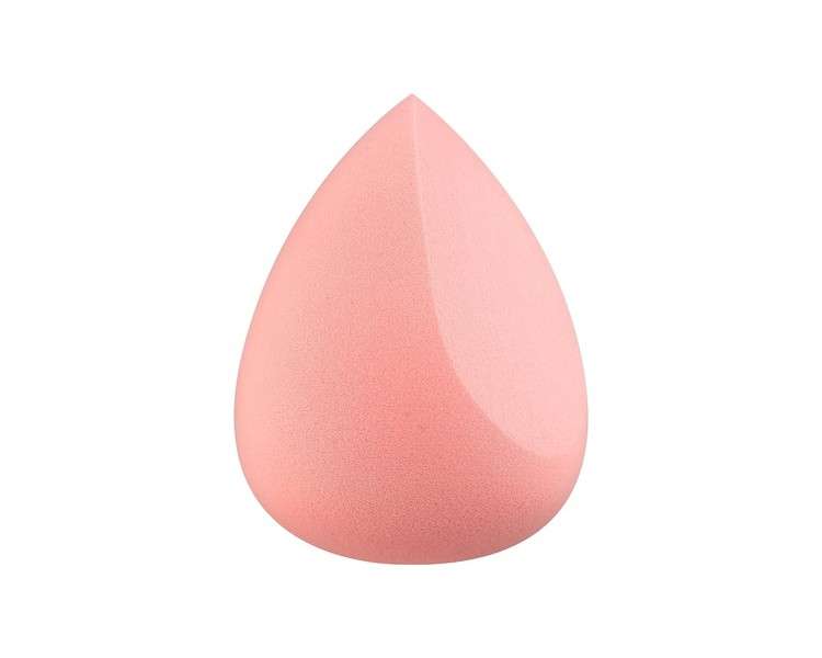 Essence makeup and baking sponge Applicator