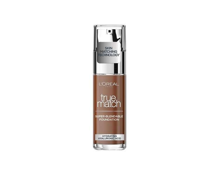 Sale Loreal Paris True Match Foundation 10N CacaoCocoa with Hyaluronic Acid 30ml