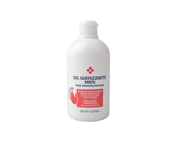 Gel Mains Assainissant 500ml