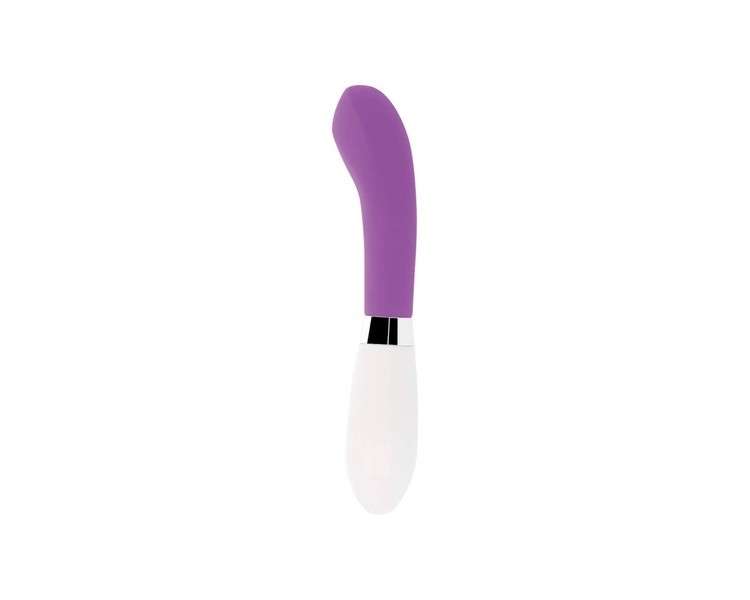 Glossy John Purple Vibrator