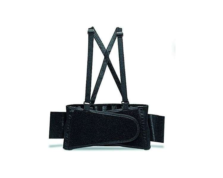 Rubi 80913 Enforcement Lumbar Support D M-L