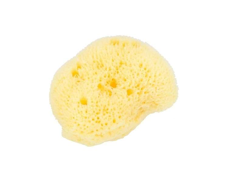 Beautytime Cosmetic Sea Sponge