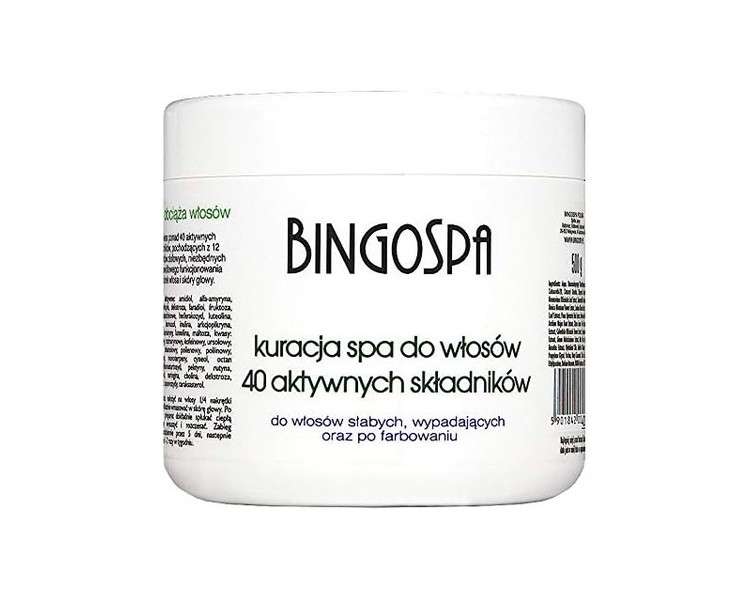 BingoSpa Hair Treatment with 40 Active Ingredients 500g