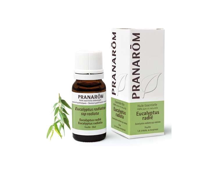 Pranarôm Eucalyptus Radiata Essential Oil 10ml