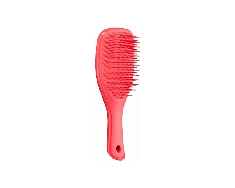 Tangle Teezer The Mini Wet Detangler Hairbrush for Wet & Dry Hair Pink Punch