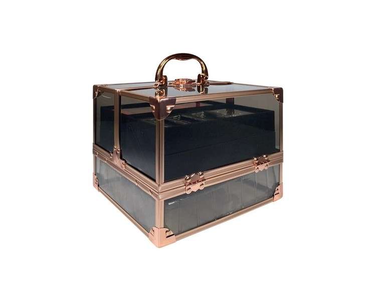 Technic Beauty Etui Black & Rose Gold Filled Case