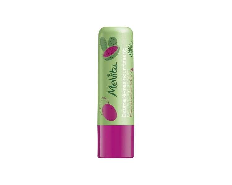 Nourishing Organic Lip Balm