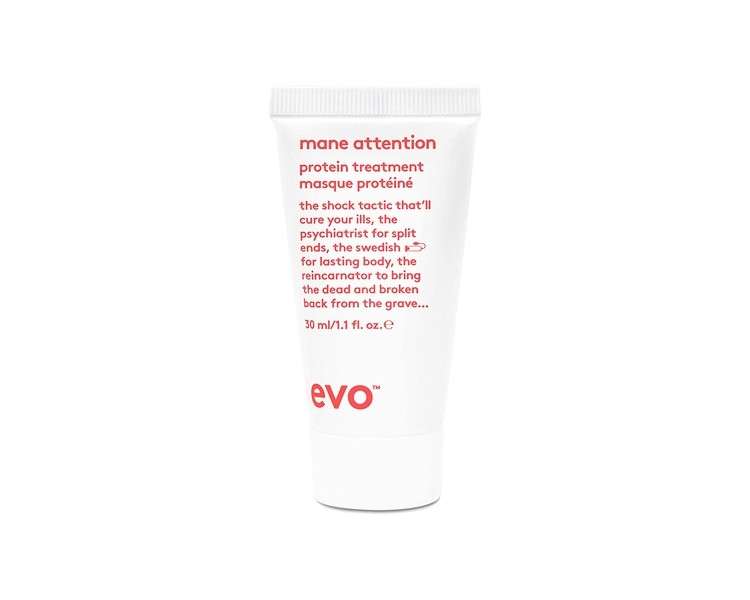 EVO Mane Attention Protein Treatment Reconstructs Repairs and Strengthens Hair 1.1 Fl Oz