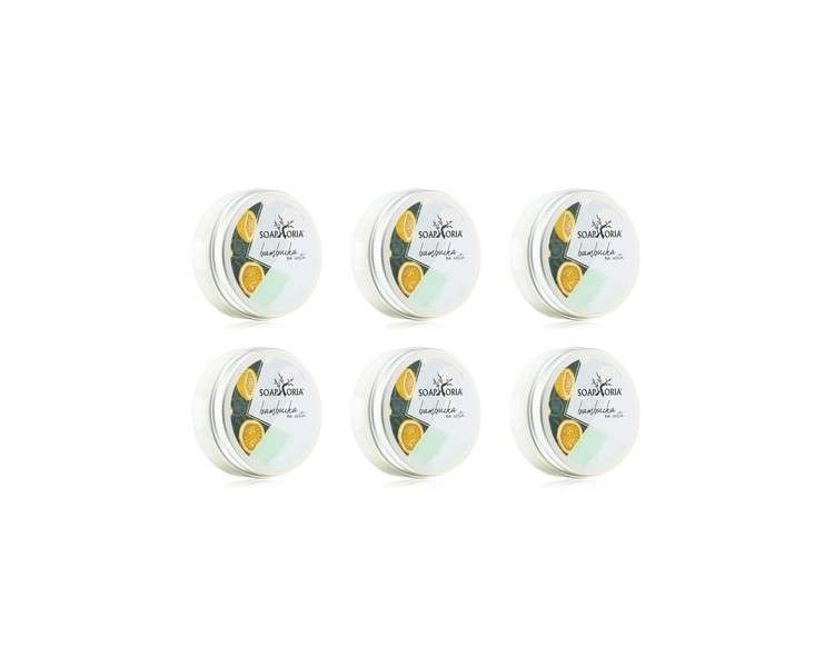 Bio Shea Butter Balm Natural Moisturizer for Body and Skin Care 50ml - Pack of 6