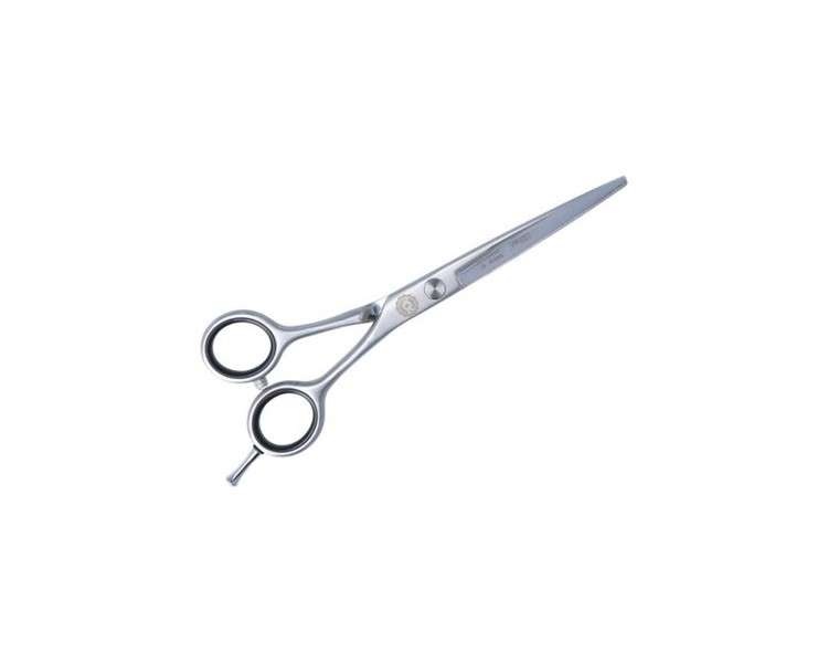 Cosmos Line Eurostil 6 Hair Scissors