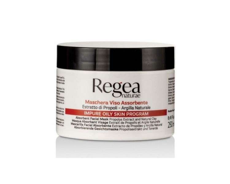 Regea Natura Face Absorbent Mask 250ml for Estheticians