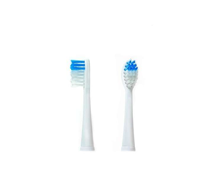 CAMRY CR 2158.1 Toothbrush Set Multicolor One Size