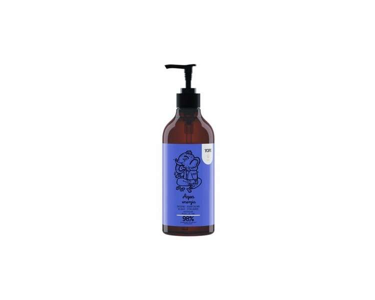 YOPE Soul Aqua Energy Natural Hand Soap with Camphor Oil and Thyme Extract 500ml